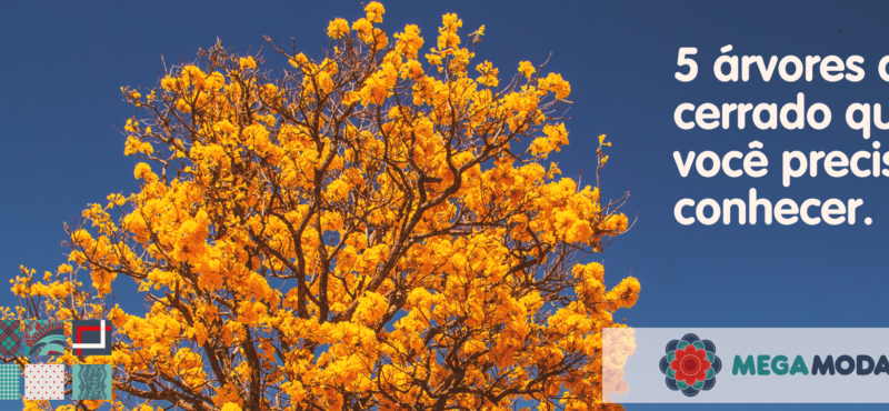 5 árvores do cerrado que você precisa conhecer